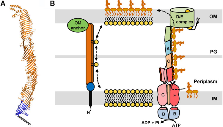 FIG 6