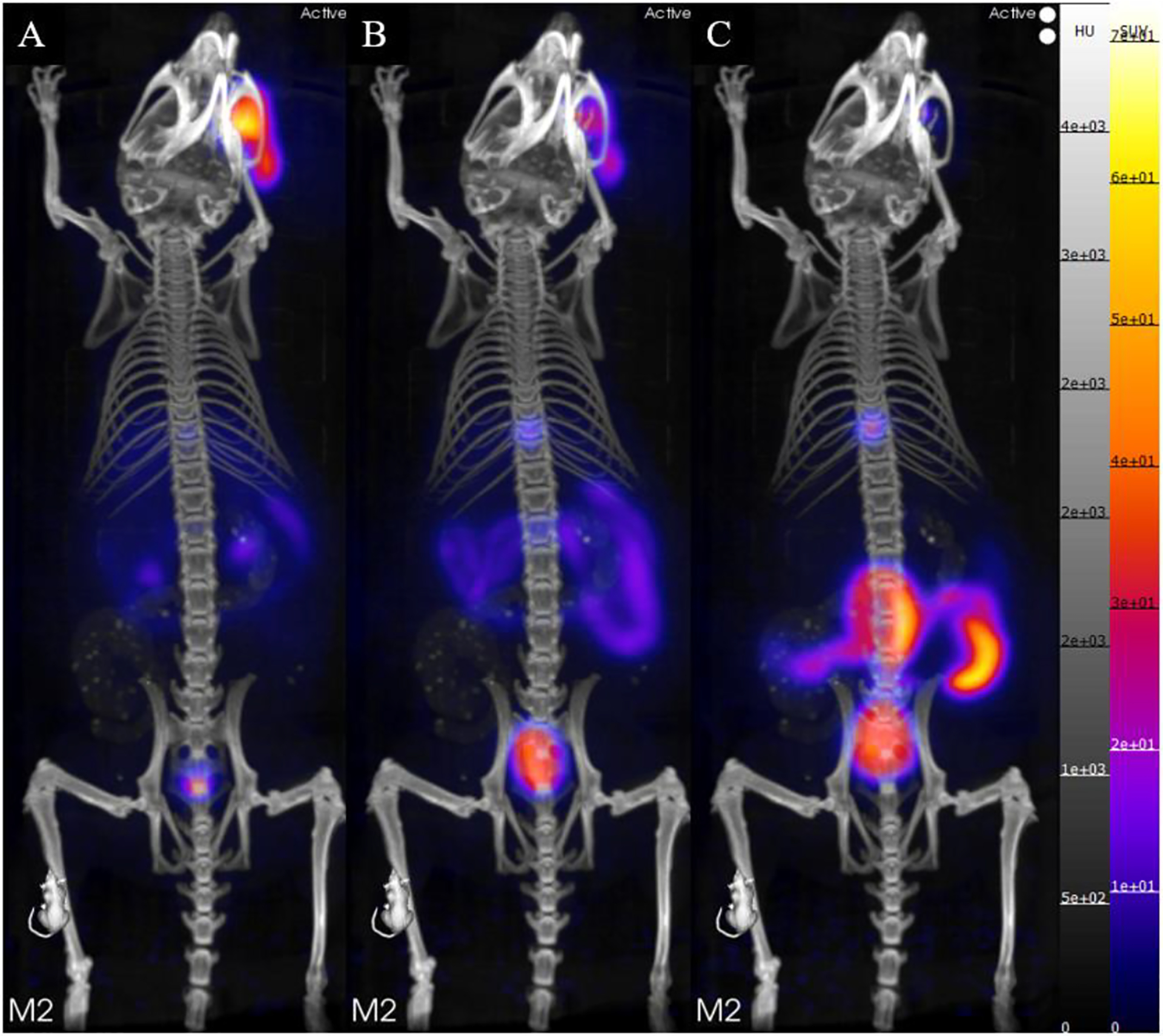 Figure 14.