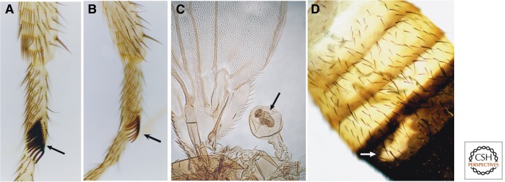 Figure 3.