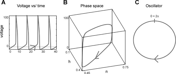 Fig. 1.