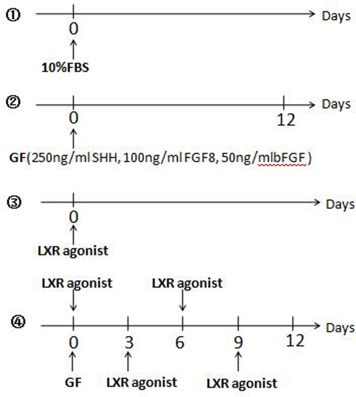 Figure 11