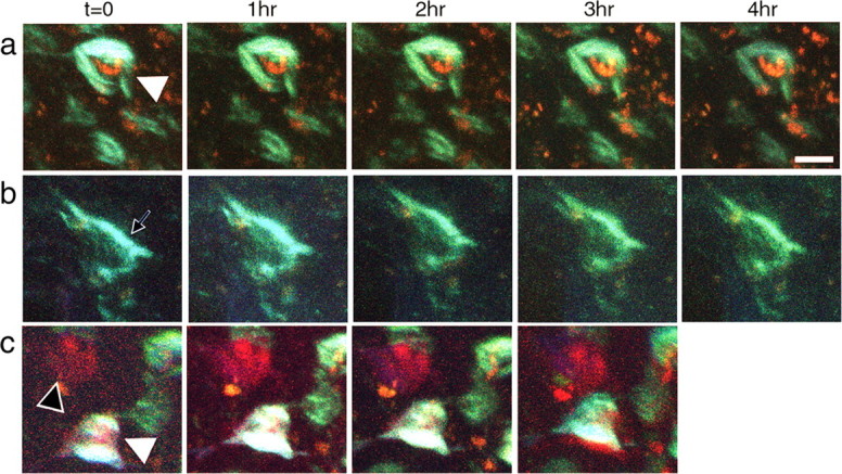 Figure 4.