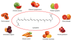 Figure 1. Main plant sources of lycopene.