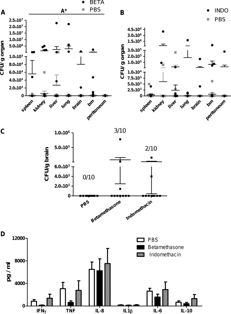 Fig 6