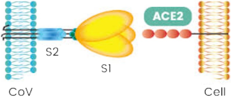 Fig. 2