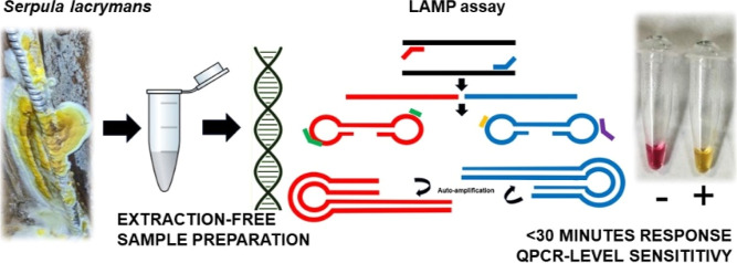 graphic file with name ao4c05509_0008.jpg