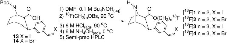 Scheme 2