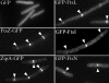 FIG. 4.