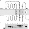 FIG. 8.