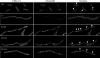 FIG. 5.
