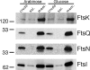 FIG. 1.