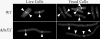 FIG. 7.