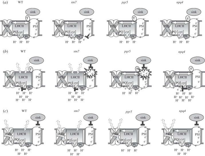 Figure 1.