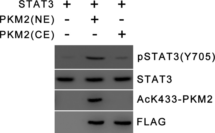 Fig. S7.