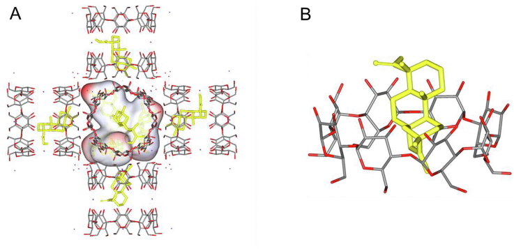 Figure 6