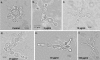 FIG. 6.