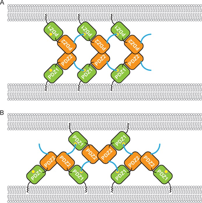 FIGURE 8.