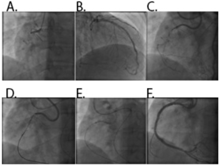 Fig. (8)