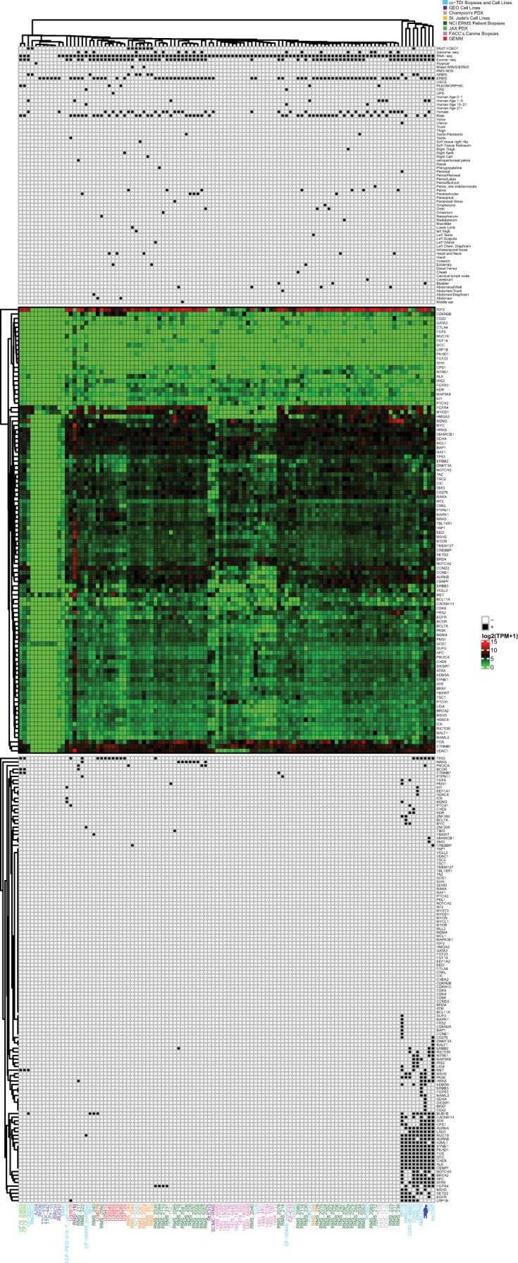 Figure 4.