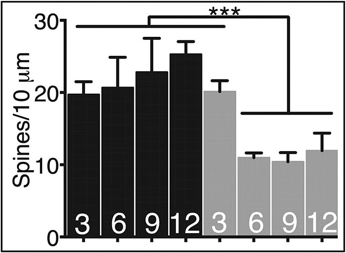 Fig 1.