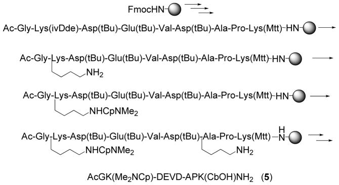 Scheme 1