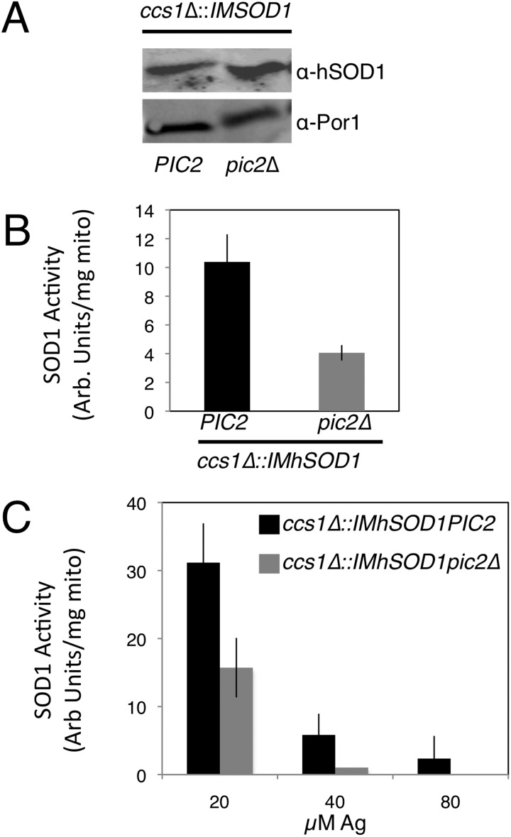 FIGURE 6.