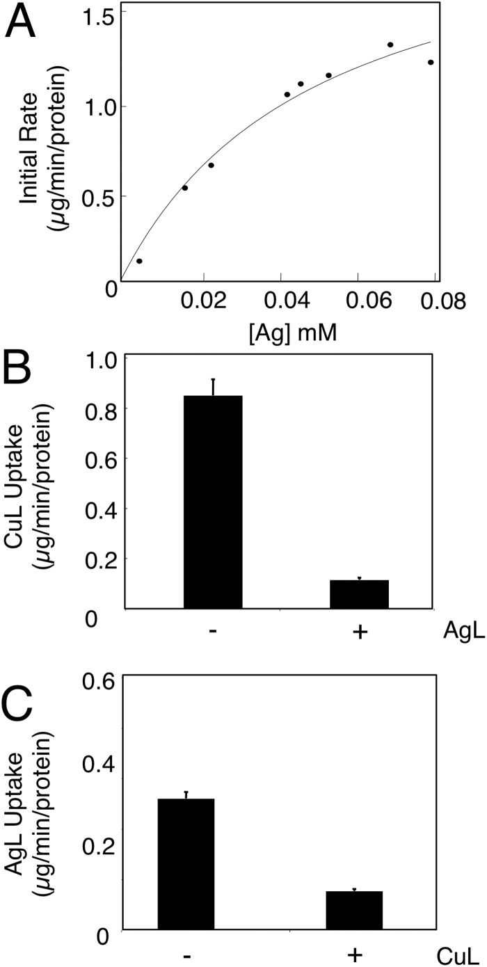 FIGURE 3.