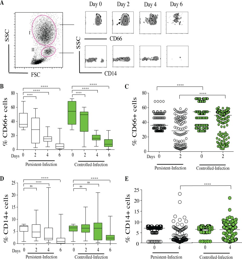 FIG 6