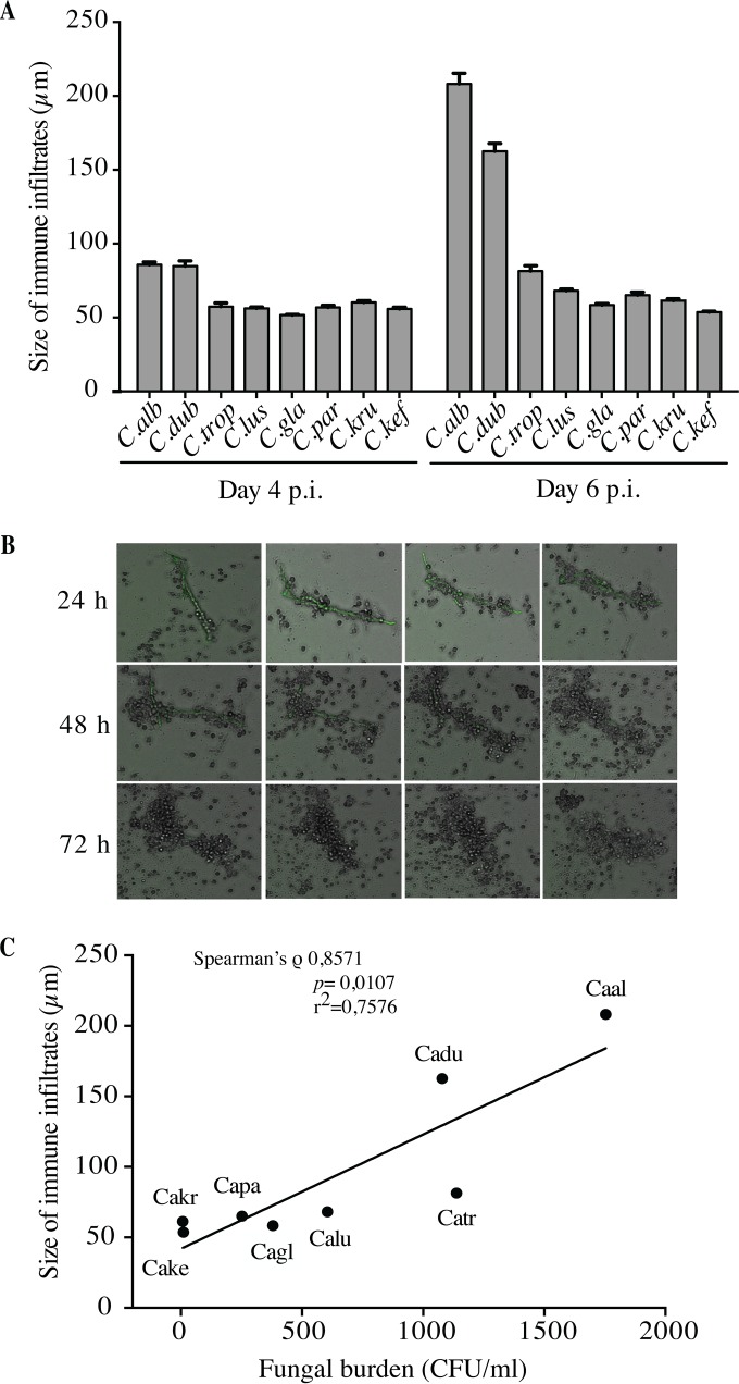 FIG 2