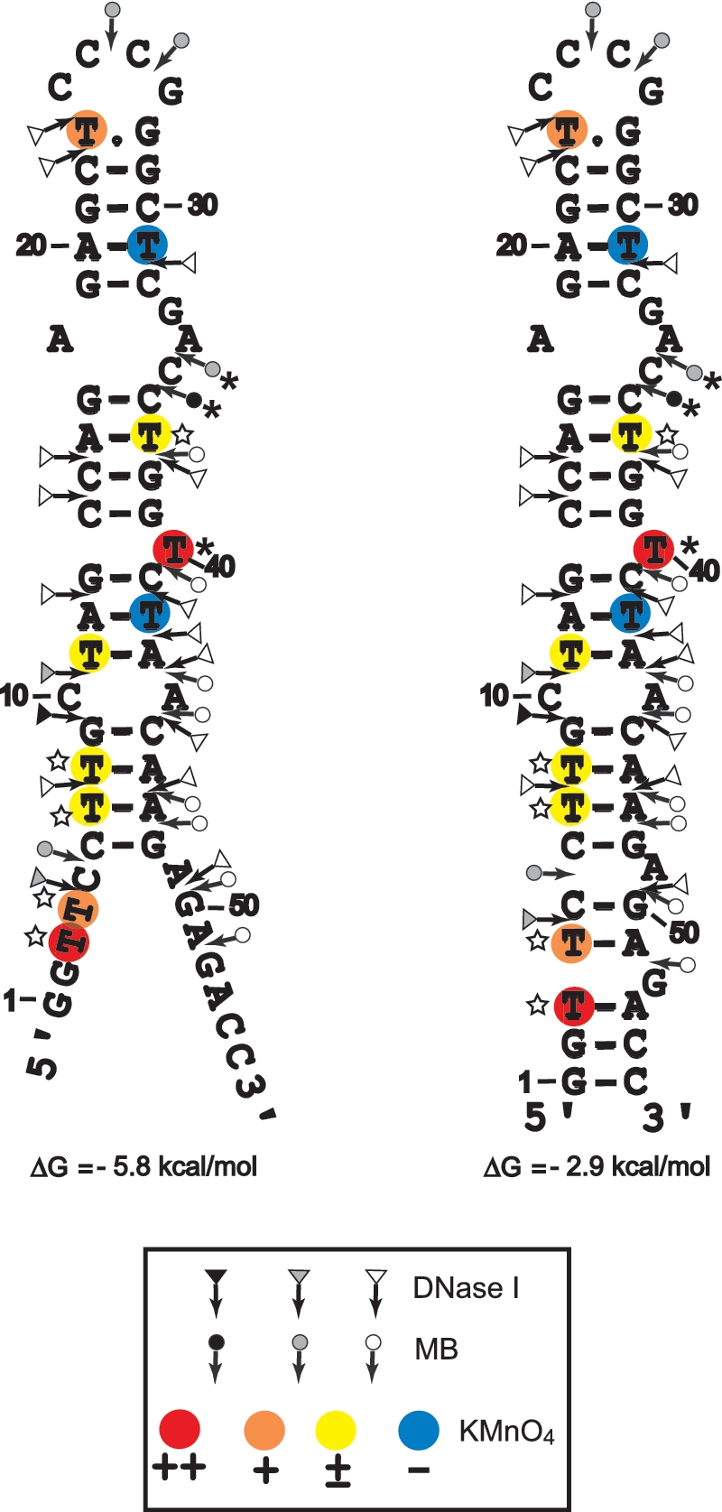 Figure 7.