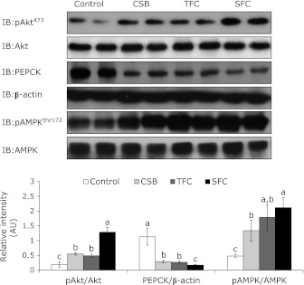 Fig. 4