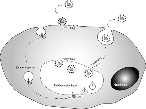 FIG. 11