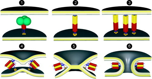 FIG. 3