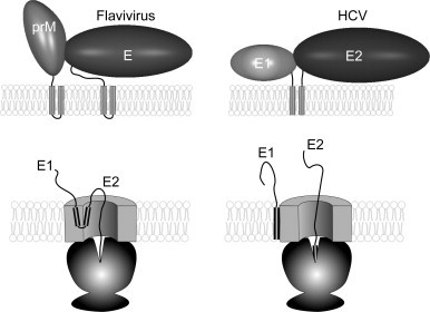 FIG. 8