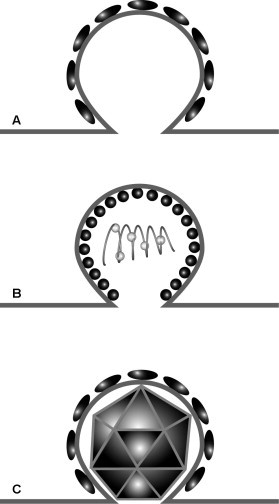 FIG. 7