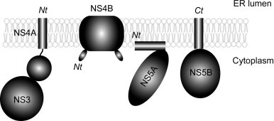 FIG. 6