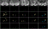Fig. 4.