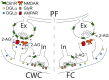 FIG. 7.