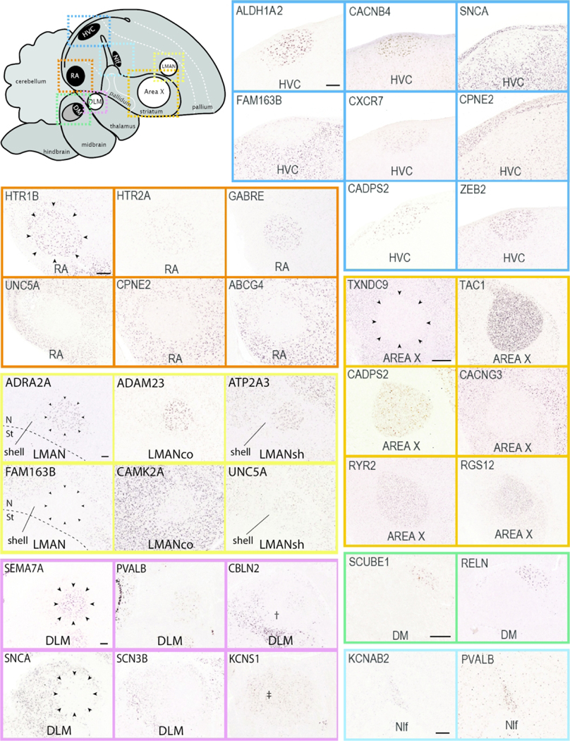 Figure 10.