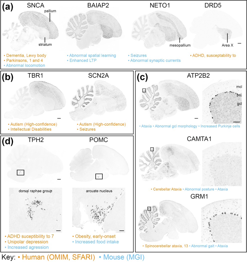 Figure 13.