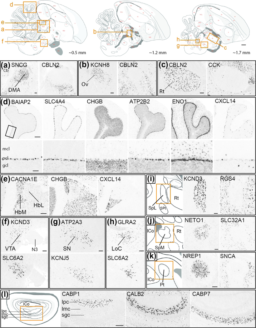 Figure 15.