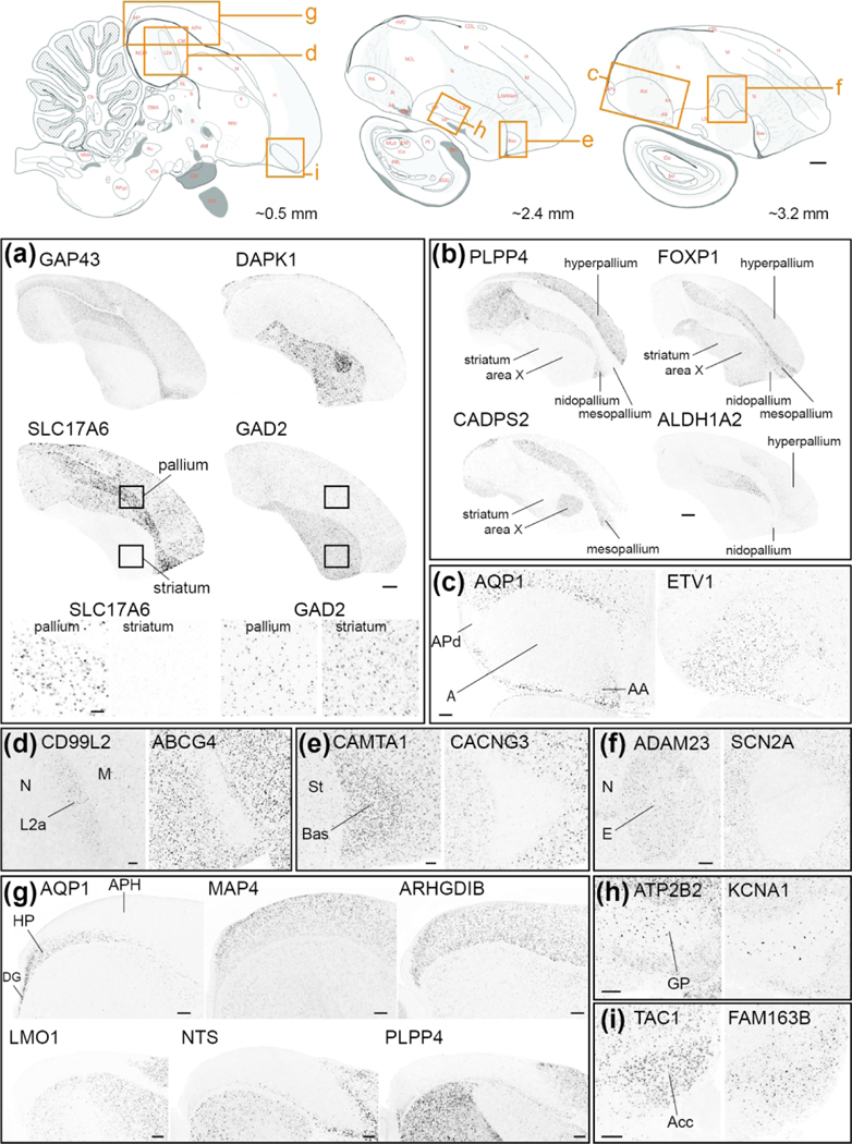 Figure 14.