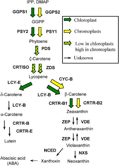 Figure 10.