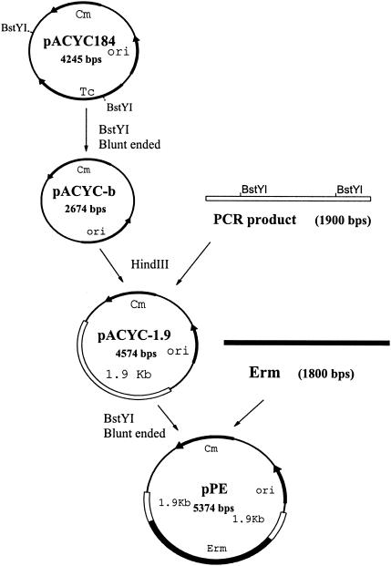 FIG. 3.