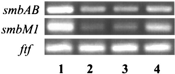 FIG. 5.