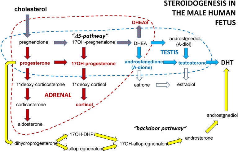 FIGURE 5