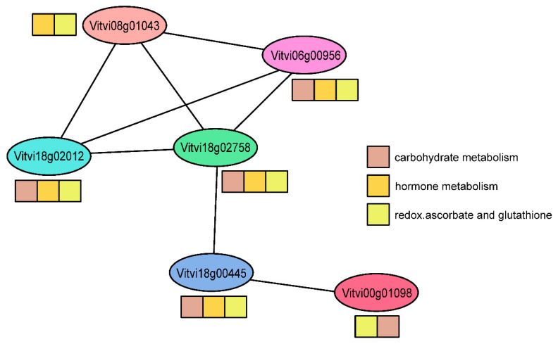 Figure 6