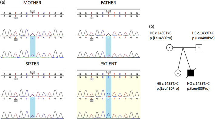 FIGURE 3