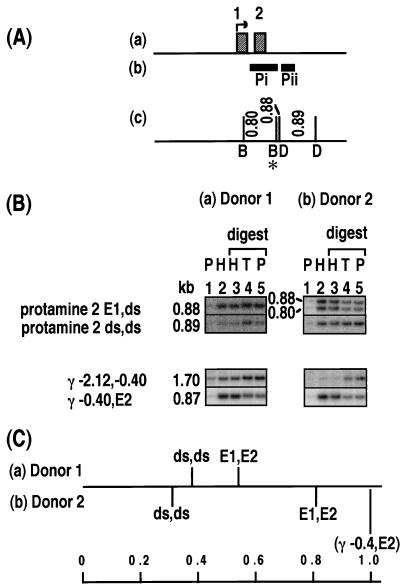 FIG. 7