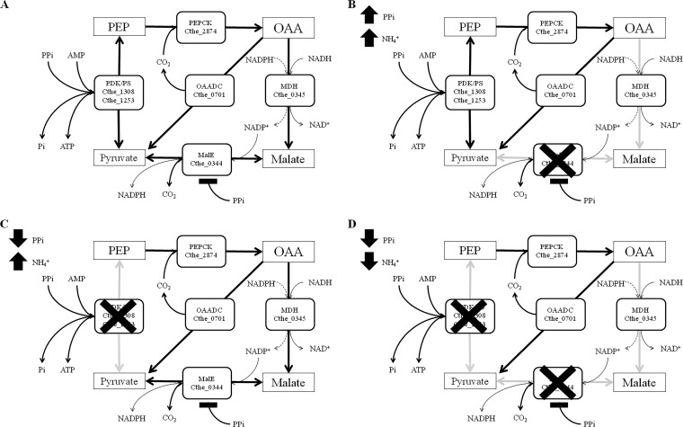 FIG 7